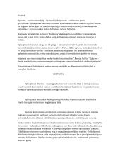 Civilinis procesas ir bylinėjimasis