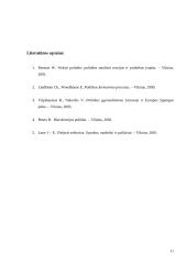 Viešosios politikos analizė 11 puslapis