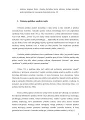 Viešosios politikos analizė 3 puslapis
