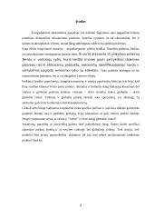 Vietinių prekės ženklų svarba globalioje rinkoje 2 puslapis