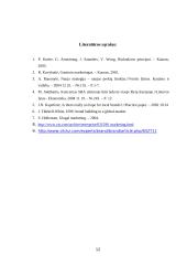 Vietinių prekės ženklų svarba globalioje rinkoje 12 puslapis