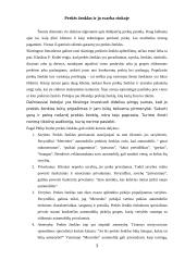 Vietinių prekės ženklų svarba globalioje rinkoje 3 puslapis