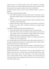 Vietinių prekės ženklų svarba globalioje rinkoje 5 puslapis