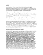 Civilinės teisės ir civilinių santykių principai