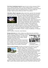 Vilkaviškis 7 puslapis