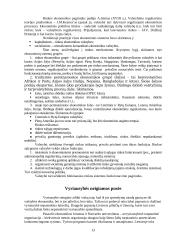 Vyriausybės vaidmuo ir jo svarba ekonomikoje 13 puslapis