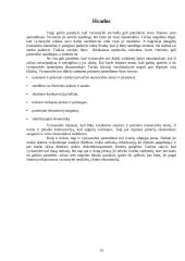 Vyriausybės vaidmuo ir jo svarba ekonomikoje 15 puslapis