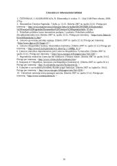 Vyriausybės vaidmuo ir jo svarba ekonomikoje 16 puslapis