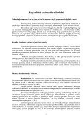 Vyriausybės vaidmuo ir jo svarba ekonomikoje 3 puslapis