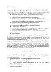 Vyriausybės vaidmuo ir jo svarba ekonomikoje 6 puslapis