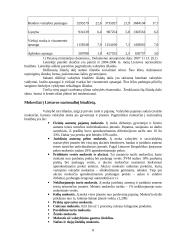 Vyriausybės vaidmuo ir jo svarba ekonomikoje 8 puslapis