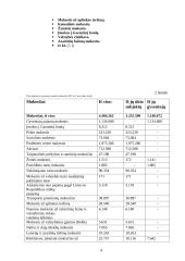 Vyriausybės vaidmuo ir jo svarba ekonomikoje 9 puslapis