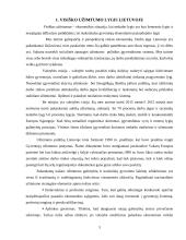 Visiškas užimtumas Lietuvoje 2 puslapis