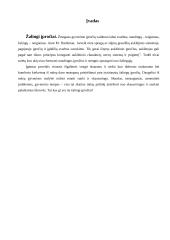 Žalingų įpročių prevencija 12 puslapis