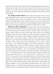 Žalingų įpročių prevencija 4 puslapis