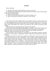 Žemės grupės planetos. Merkurijus, Venera, Žemė bei Marsas 4 puslapis