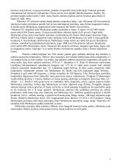 Žemės grupės planetos. Merkurijus, Venera, Žemė bei Marsas 6 puslapis