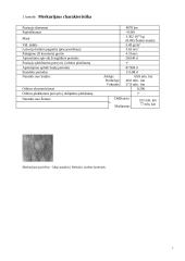 Žemės grupės planetos. Merkurijus, Venera, Žemė bei Marsas 7 puslapis