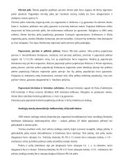 Žinduoliai 5 puslapis