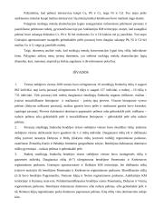 Žinduoliai 6 puslapis