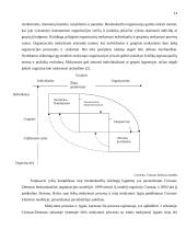 Žinių įtaka inovaciniams procesams. Besimokanti organizacija 14 puslapis