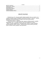 Žmogaus meilės 2 puslapis