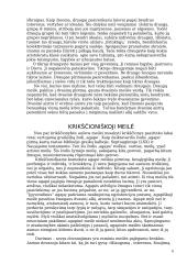 Žmogaus meilės 6 puslapis