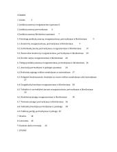 Juridinio asmens pabaiga ir persitvarkymas
