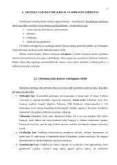 Žmogaus vaisingumo samprata 4 puslapis