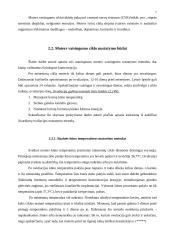 Žmogaus vaisingumo samprata 6 puslapis