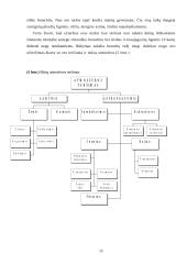 Žmogus - gamtos parazitas 12 puslapis
