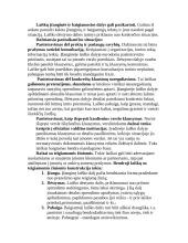 Žodinis bendravimas, viešos kalbos ypatumai 9 puslapis