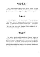 Žuvys ir jų charakteristika 2 puslapis