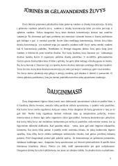 Žuvys ir jų charakteristika 5 puslapis