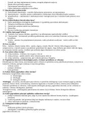 Organizacijos administravimas 3 puslapis