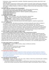 Organizacijos administravimas 6 puslapis