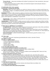 Organizacijos administravimas 7 puslapis