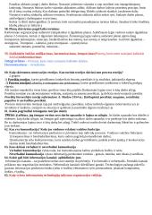 Organizacijos administravimas 8 puslapis