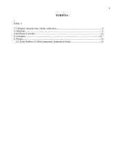 C++ Kortos 21 1 puslapis