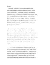 Lietuvos tarpukario laikų Konstitucijos