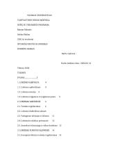 Interesų grupės bei lobizmas