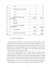 SPA verslo planas 13 puslapis