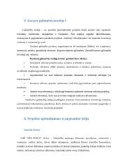 SPA verslo planas 4 puslapis