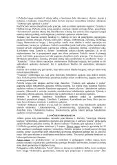 Buhalterinės apskaitos  istorija 5 puslapis