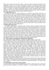 Ekonomika. Teorija 4 puslapis