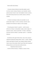 Sutartis – daugiausiai paplitusi sandorių rūšis