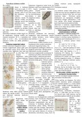Išsamus pasiruošimas elektrotechnikos atsiskaitymui 7 puslapis