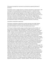 Tarptautinių vyriausybinių ir tarptautinių nevyriausybinių organizacijų skirtumai ir panašumai