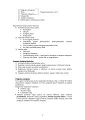 Galvos smegenys 2 puslapis