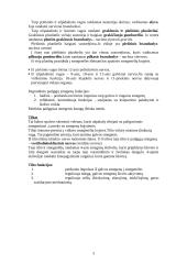 Galvos smegenys 3 puslapis